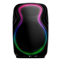 Parlante Portátil Bluetooth Blaze Audio NOV02 Bafle Inalámbrico 12 Pulgadas 300W Batería Litio Recargable 19hs TWS Karaoke Bass Reflex Micrófono y Control Incluido Luces LED RGB USB Radio FM Negro 6kg