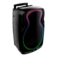 Parlante Portátil Bluetooth Blaze Audio NOV02 Bafle Inalámbrico 12 Pulgadas 300W Batería Litio Recargable 19hs TWS Karaoke Bass Reflex Micrófono y Control Incluido Luces LED RGB USB Radio FM Negro 6kg