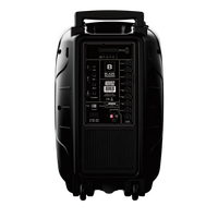 Parlante Portátil Bluetooth Blaze Audio NOV02 Bafle Inalámbrico 12 Pulgadas 300W Batería Litio Recargable 19hs TWS Karaoke Bass Reflex Micrófono y Control Incluido Luces LED RGB USB Radio FM Negro 6kg