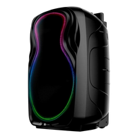 Parlante Portátil Bluetooth Blaze Audio NOV02 Bafle Inalámbrico 12 Pulgadas 300W Batería Litio Recargable 19hs TWS Karaoke Bass Reflex Micrófono y Control Incluido Luces LED RGB USB Radio FM Negro 6kg